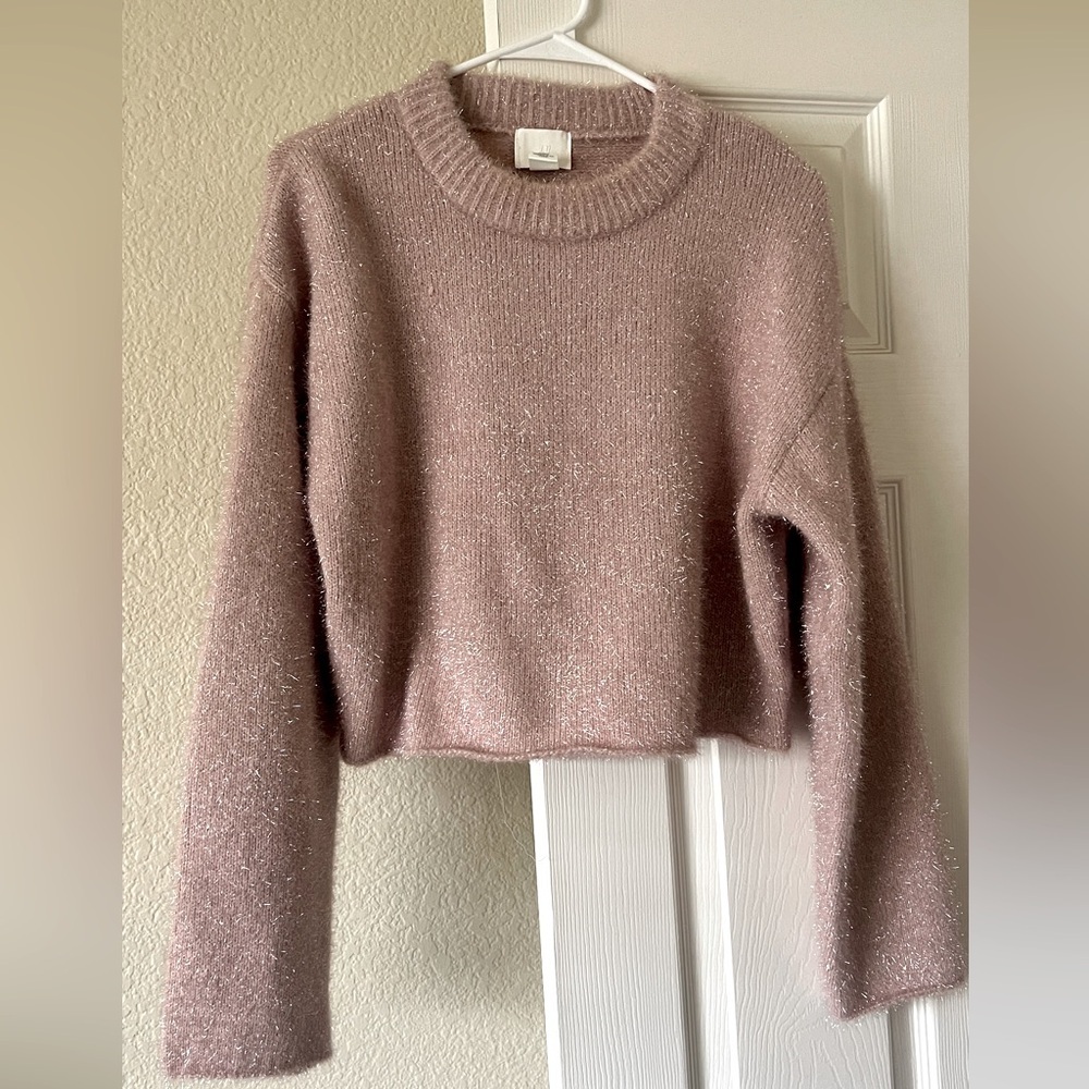 H&M cropped sparkly sweater
